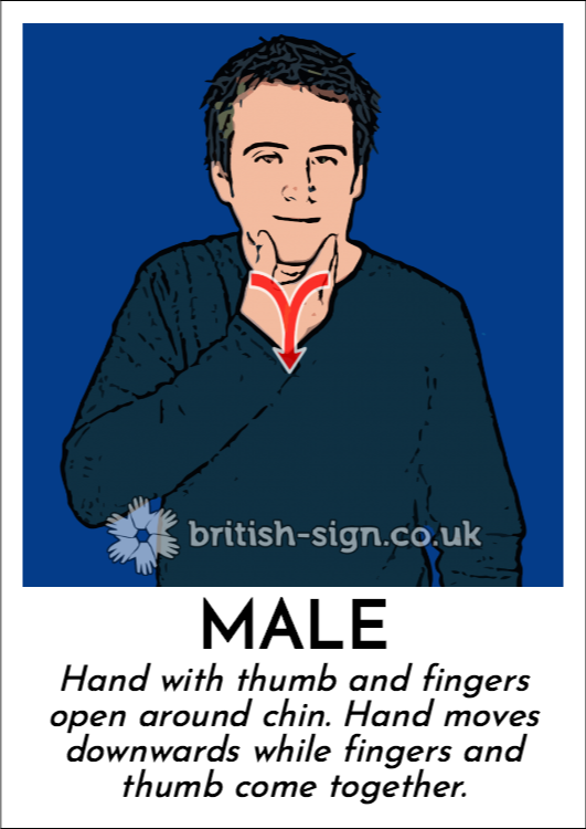 Male: Hand with thumb and fingers open around chin.  Hand moves downwards while fingers and thumb come together.
